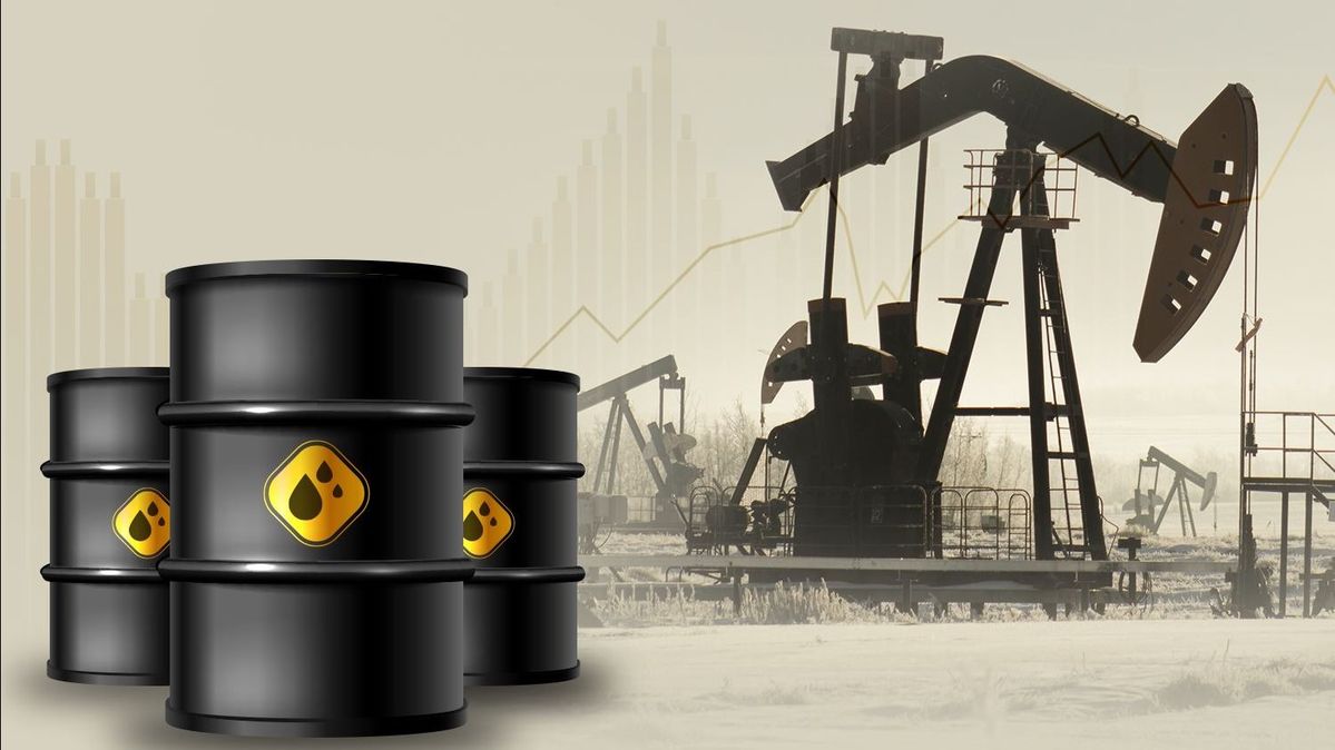 Petroleum & Fuels
